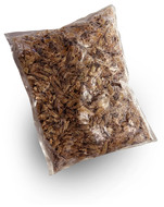 Garnalen schalen (doppen)